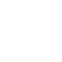 PROFESSIONAL