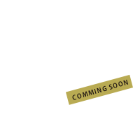 VOICE